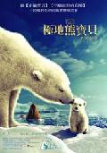 极地熊宝贝-拿努的历险