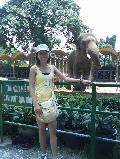 hinh di so thu-1