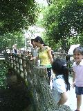 hinh di so thu-8